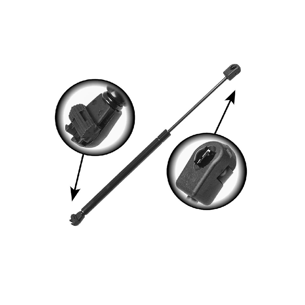 Tailgate Gas Strut